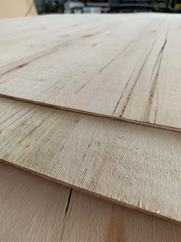 Plywood Bracing F22
