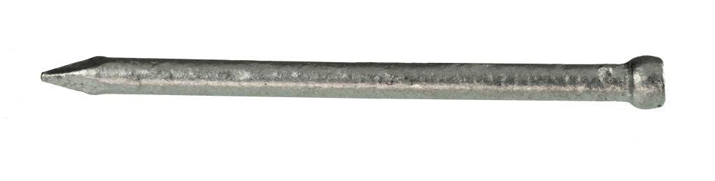 Koala Nail Bullet Head GALVANISED - Plain Shank